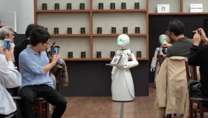 מלצרים ושמרטפים: כך תעשיית הרובוטים תשנה את חיינו