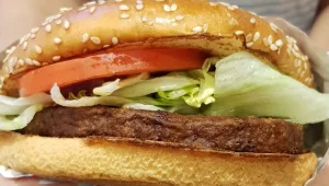 המרקם, הו המרקם: טעמנו את ההמבורגר הטבעוני החדש של מקדונלדס