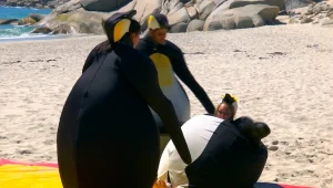 מלחמת הפינגווינים הגדולה