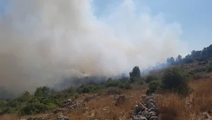 שריפה משתוללת ביער כרמילה הסמוך לבית שמש