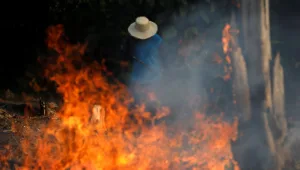 השריפות באמזונס ממשיכות להשתולל: למה זה כל כך מסוכן?