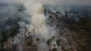 אש באמזונס: המידע המוטעה שמופץ ברשתות אודות שריפות הענק