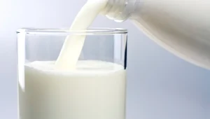 מחקר חדש: חלב דל גורם להשמנה