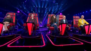 The Voice, עונה 5, פרק 27: הדרך של המתמודדים אל הגמר