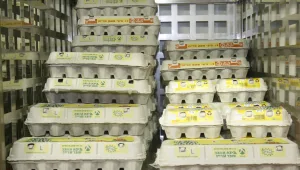 גל ההתייקרויות נמשך: בקרוב - עלייה גם במחירי הביצים והמים