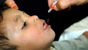 "חלק מסרבים": מנהלת המוסד שבו למדה הילדה שנדבקה בפוליו - מתנגדת חיסונים