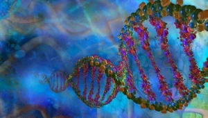 מוצא, מחלות וקרובים רחוקים: הבדיקות הגנטיות החדשות הולכות קדימה ואחורה