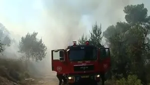 שריפת ענק באזור טבעון: אלפי תושבים פונו, כמה בתים נשרפו