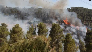 חשד: הבעיר אשפה בביתו - וגרם לשריפת הענק ביער ירושלים