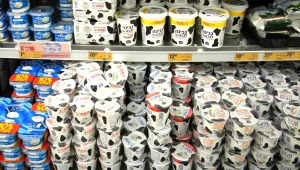 מבקר המדינה יבדוק את מחירי הקוטג', נתניהו: "נשקול לייבא מוצרי חלב"