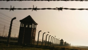 פולין: שוקלים לבטל את מסעות הנוער הישראלי למחנות ההשמדה
