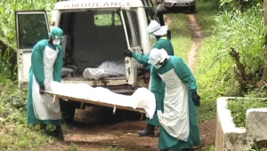 ארגון הבריאות העולמי: נגיף האבולה התפרץ בקונגו