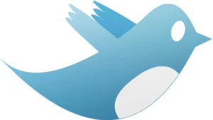 לצייץ בשפת הקודש: טוויטר הוסיפה תמיכה בעברית