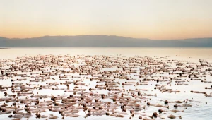 צפו: צילום העירום של טוניק בים המלח