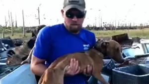 כלב שנקבר תחת הריסות הוריקן – חולץ חי אחרי 3 שבועות • צפו