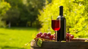 מה יותר טוב, יין זני או בלנד? • מנפצת המיתוסים