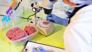 בשר ללא בשר: פיתוח ישראלי מאפשר גידול בשר במעבדה, ללא פגיעה בבעלי חיים