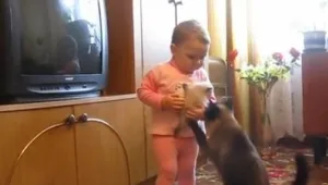 צפו: הקרב על הגור חתולים הכי מתוק