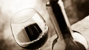מנפצת המיתוסים • האם יין טוב חייב להיות יקר?