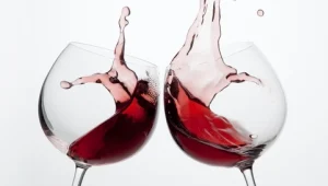 משקיעים ביין • קרן חדשה עושה כסף מיינות