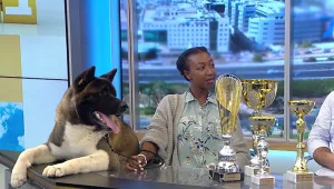 הכלב הישראלי שזכה באליפות עולמית לכלבים