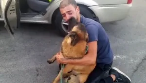 מבצע החילוץ המטורף של הכלבה שנחטפה עבור כופר