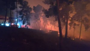 שריפה פרצה באזור עפולה - תושבים פונו מבתיהם לזמן קצר