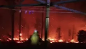 שריפות ענק באוסטרליה: 3 בני אדם נהרגו; אלפים פונו מבתיהם