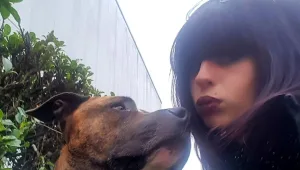 צרפת: להקת כלבי ציד הרגה אישה בהיריון שטיילה עם הכלב שלה