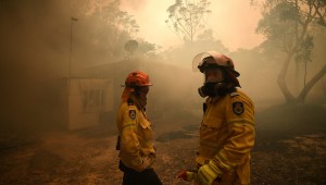 משבר האקלים: גל חום קיצוני באוסטרליה; 12 הרוגים בסופה בארה"ב