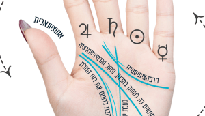 פרפקציוניסטים ורגישים: מה כפות הידיים של הדיירים החדשים אומרות עליהם?