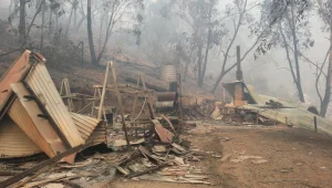 אוסטרליה בלהבות: עשרות אלפי אזרחים פונו בעקבות שריפות הענק