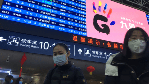 בשל הנגיף בסין: משרד הבריאות מנחה תיירים להימנע ממגע עם בע"ח