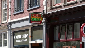 בשורה קשה לישראלים: באמסטרדם שוקלים לאסור מכירת קנאביס לזרים