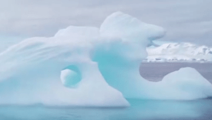 באנטארקטיקה נמדדה הטמפרטורה הגבוהה אי פעם - והנזקים ניכרים