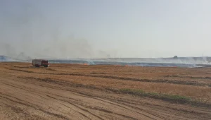 שריפות פרצו במועצה האזורית אשכול: "11 מוקדי הצתה מכוונת"
