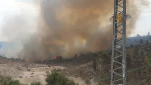 גל שריפות: אלפי תושבים פונו מבתיהם בכמה יישובים בארץ