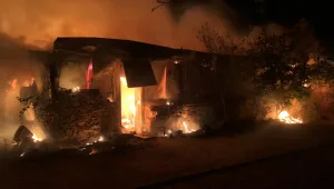 היישוב מנות שבגליל פונה בגלל שריפה - ארבעה נפגעו קל