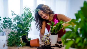 האולסטארס במשימת פרחים | איך להתאהב בצמחים הביתיים שלכם