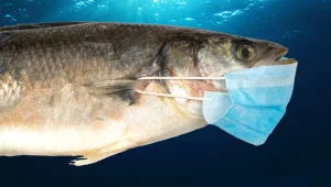 סימפטום חדש? מחלימי קורונה רבים מדווחים על ריח חזק של דגים