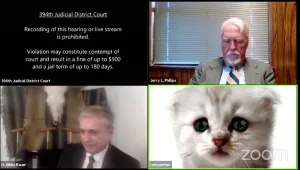 תקלת הזום שכבשה את העולם: במקום פרקליט הופיע חתול על המסך