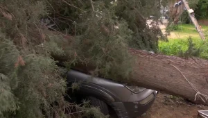 נזקי הסופה: עצים קרסו על רכבים וכלי רכב נתקעו בשטפונות