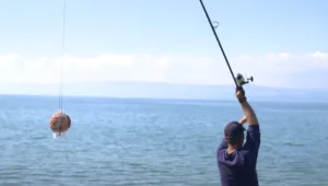 60 דייגים, 20 צוותים - ושינה בחוף: הכירו את תחרות ה"ישראפיש"