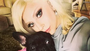 מי חטף את כלביה של ליידי גאגא?