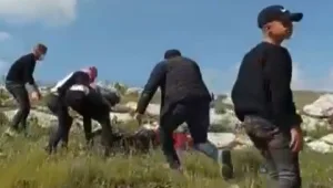 דיווח פלסטיני: גבר מאזור שכם נהרג מאש צה"ל במהלך עימותים