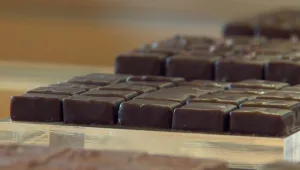 תעשיית השוקולד שפרחה בקורונה חוזרת לשגרה - וממציאה עצמה מחדש