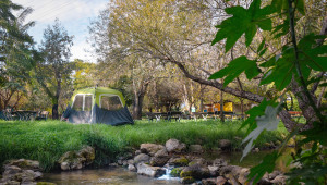 אוהל בסטייל: הכירו את קמפינג מטיילים דפנה