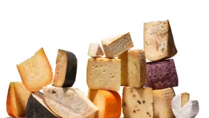 ביוש ברי וקממבר: הגבינות המיוחדות באמת לפלטת גבינות של שבועות