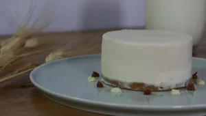 עוגת גבינה עם הפתעת אלפחורס בפנים של ניקול צינהוז