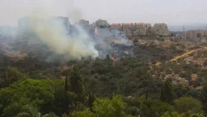 שריפה מתפשטת בסמוך לאלפי מנשה: פונו בתים הצמודים לקו האש